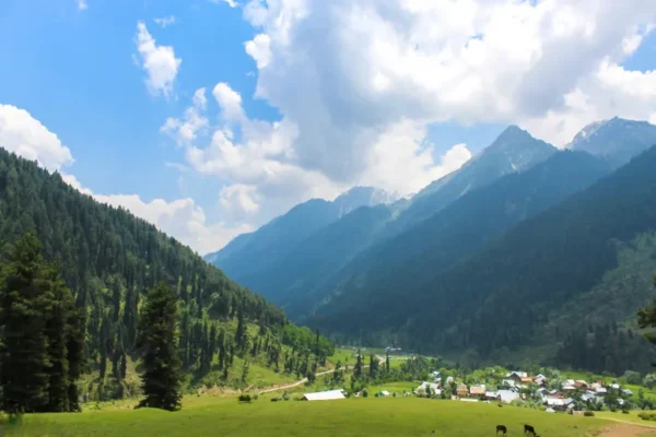 Pahalgam Terror Attack: Everything You Need to Know
